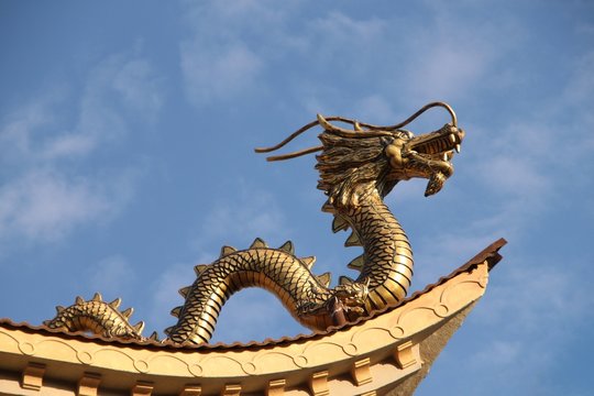 Asiatischer Drache auf dem Dach