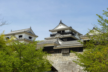 新緑の松山城