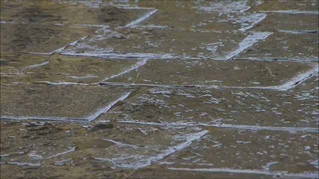 Regen auf Kopfsteinpflaster vid 05