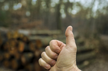Daumen hoch im Wald