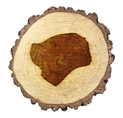 Slice of wood (shape of Guinea-Bissau branded onto) .(series)