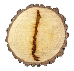 Slice of wood (shape of Chile branded onto) .(series)