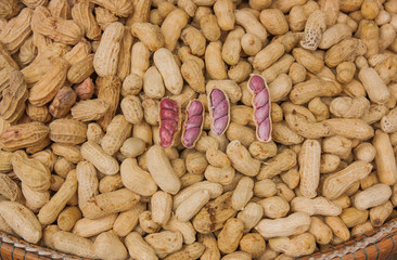 Ready to eat boiled peanuts,Thailand market.