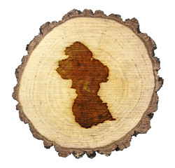 Slice of wood (shape of Guyana branded onto) .(series)