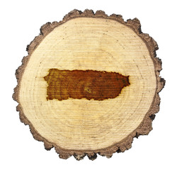 Slice of wood (shape of Puerto Rico branded onto) .(series)
