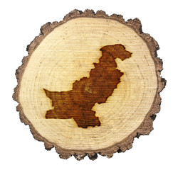 Slice of wood (shape of Pakistan branded onto) .(series)