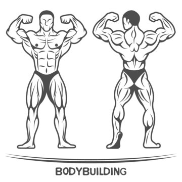 Bodybuilder. On isolated background.