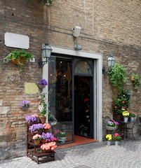 Fototapeta na wymiar Beautiful flower shop in a small Tuscan town, Italy