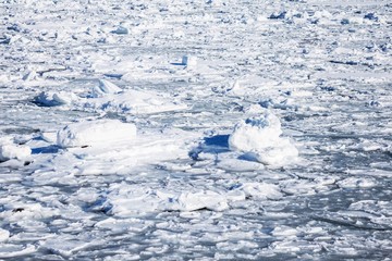 Winter in the Arctic - Svalbard