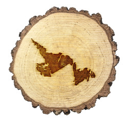 Slice of wood (shape of Newfoundland branded onto) .(series)