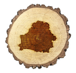 Slice of wood (shape of Belarus branded onto) .(series)