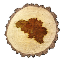 Slice of wood (shape of Belgium branded onto) .(series)