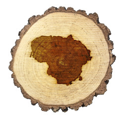 Slice of wood (shape of Lithuania branded onto) .(series)