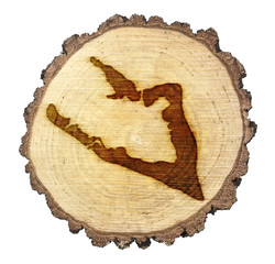 Slice of wood (shape of Wake Island branded onto) .(series)