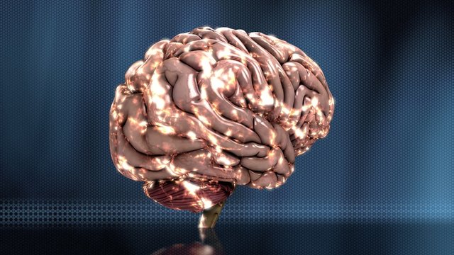 Brain-Mapping Imagens – Procure 22 fotos, vetores e vídeos | Adobe Stock