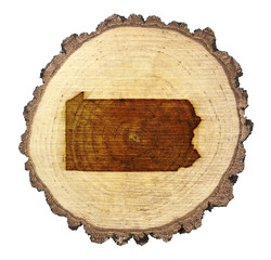 Slice of wood (shape of Pennsylvania branded onto) .(series)