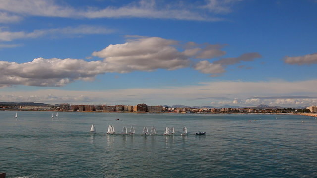 People Practicing Sailing With Small Sailboats, Sailing School
