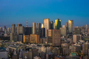 Fototapeta na wymiar Tokyo aerial panoramic view at sunrise