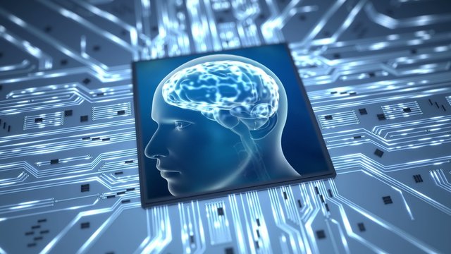 Simulating neuronal processes in the male brain