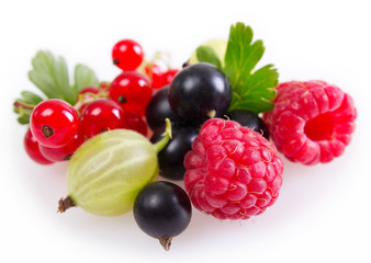 Collection of berries