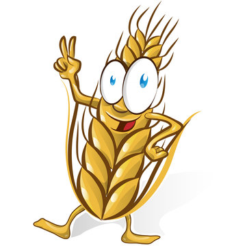 wheat cartoon isolated on white  background