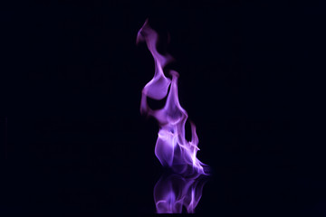 Purple flames isolated