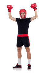 Funny boxer isolated on the white