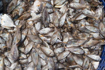 Dead fishes in basket