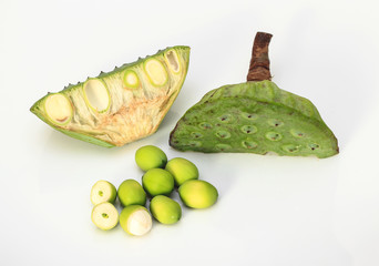 Lotus pod against white background