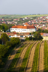Cejkovice with vineyard, Czech Republic