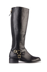 Woman shoes isolated on the white background