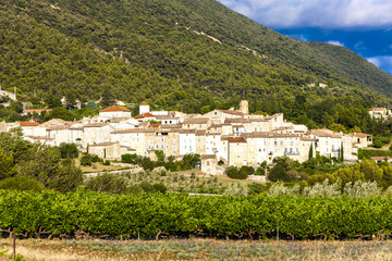 Fototapeta na wymiar village Venterol with vineyard, Rhone-Alpes, France