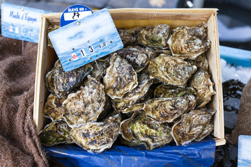 oysters, market in Nyons, Rhone-Alpes, France