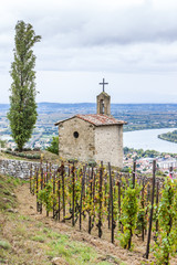 grand cru vineyard and Chapel of St. Christopher, L´Hermitage, R