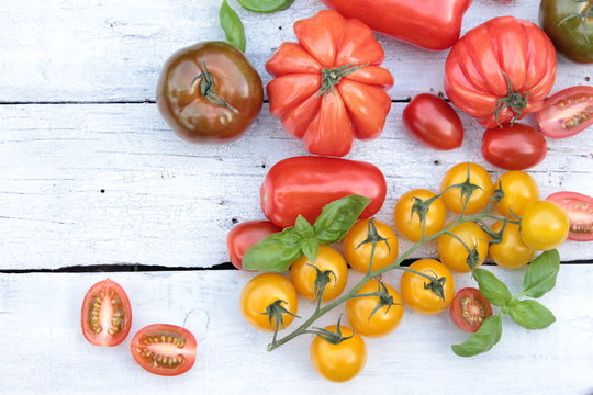 tomaten sorten