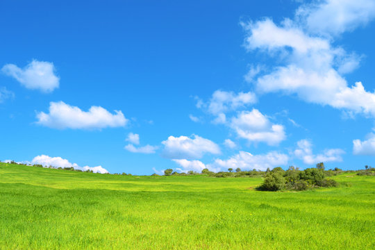 Bella prateria verde con cielo azzurro e nuvole - pianeta verde