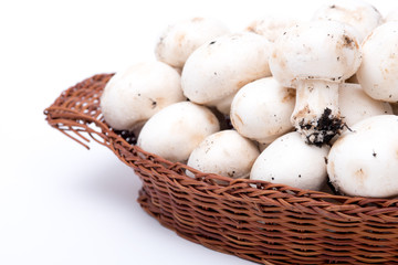 cestino di funghi
