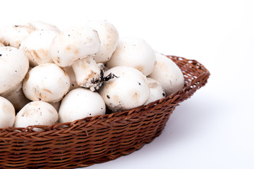 funghi champignon in un cestino