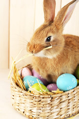 Cute red rabbit with Easter eggs on shelf on wooden wall background