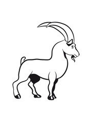 Capricorn horoscope animal