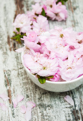 flowers of sakura blossoms in a bowl of water