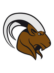 Capricorn horoscope animal