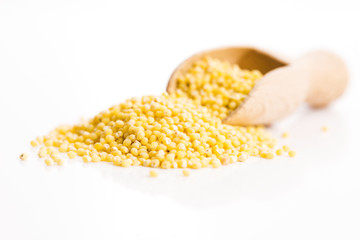 Heap of millet groats on white
