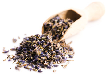Lavender Herb Bud Flower tea Heap pile surface top view isolated