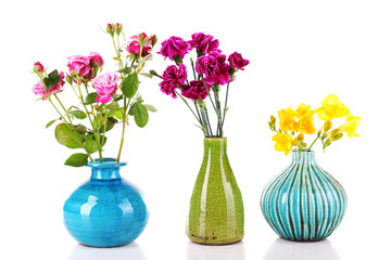 Different beautiful flowers in vases isolated on white