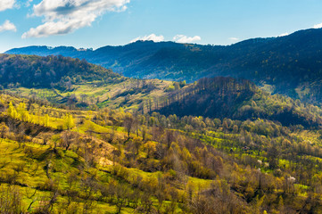 Romanian hills landscape in spring