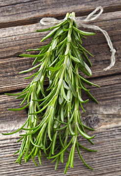 Rosemary on a wooden background