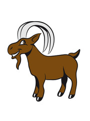 Capricorn horoscope sweet funny