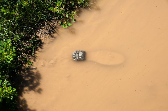 Sohle in Pfütze #1549