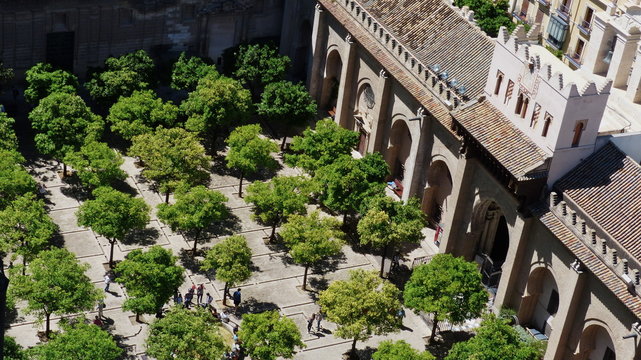 Cour des orangers cath&eacute;drale de Seville